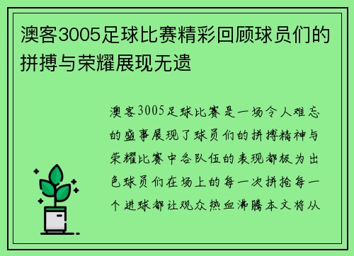 澳客3005足球比赛精彩回顾球员们的拼搏与荣耀展现无遗